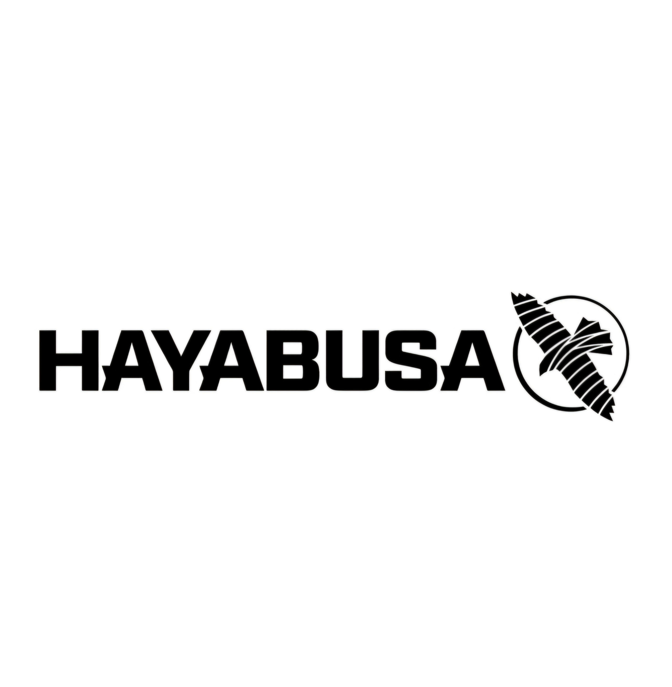 Hayabusa